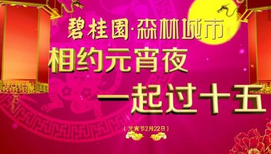 2017年碧桂園森林城市鬧央視元宵晚會(huì)